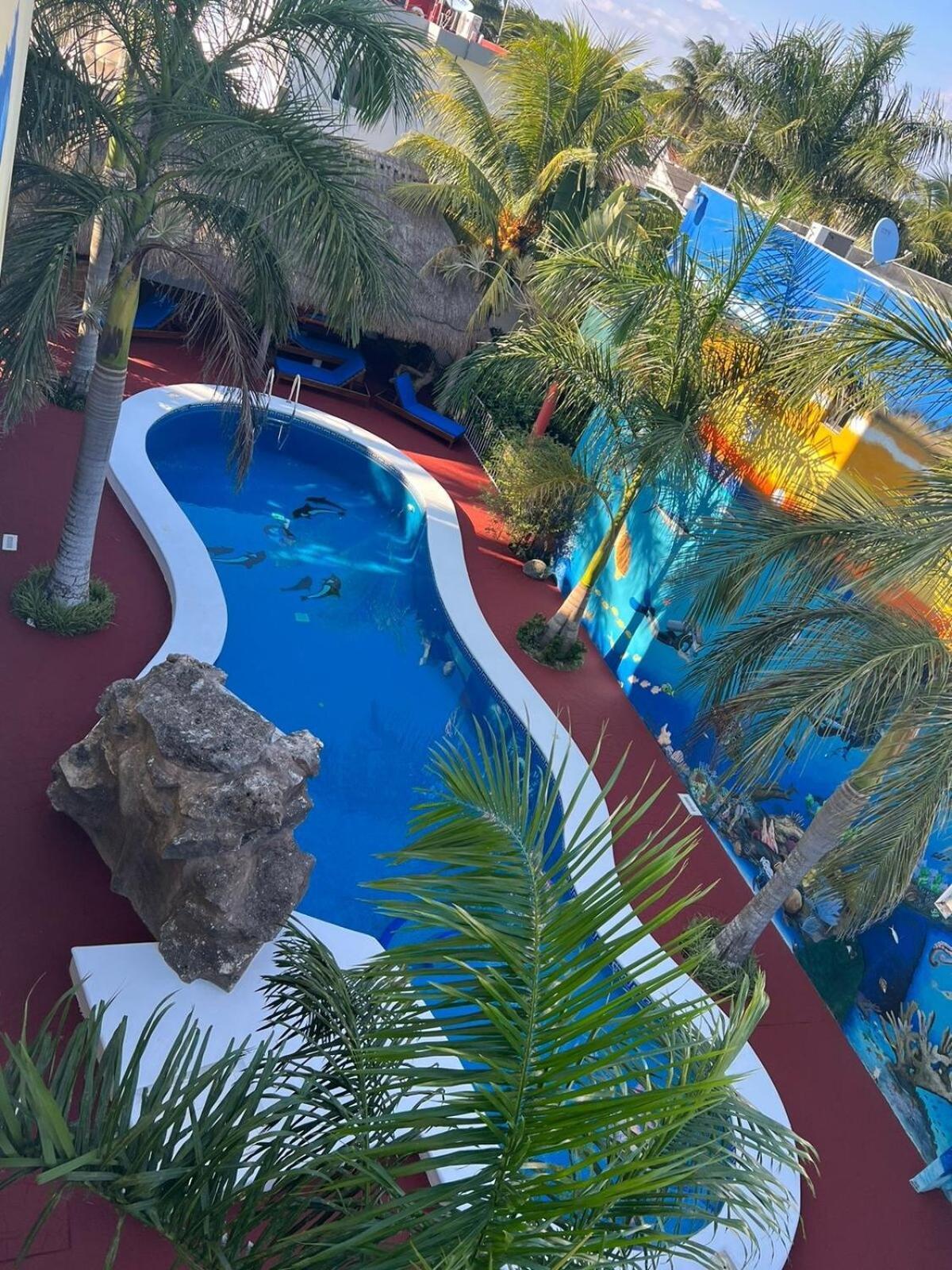 Casa De Mario 4 Beautiful House With A Huge Pool